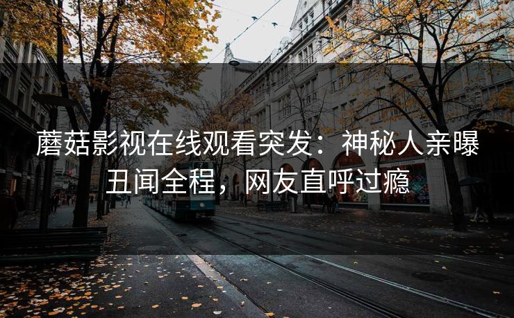 蘑菇影视在线观看突发：神秘人亲曝丑闻全程，网友直呼过瘾