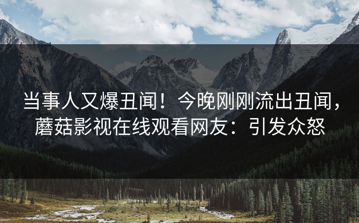 当事人又爆丑闻！今晚刚刚流出丑闻，蘑菇影视在线观看网友：引发众怒