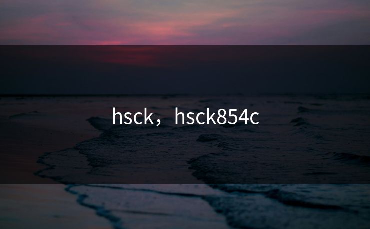hsck，hsck854c