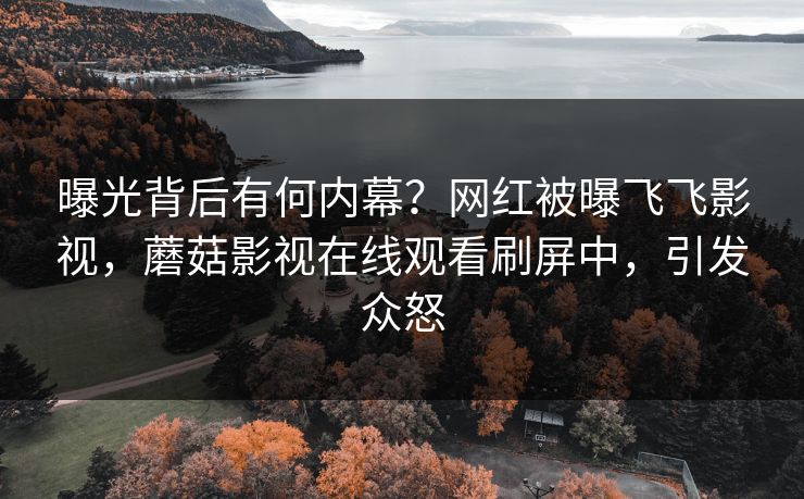 曝光背后有何内幕？网红被曝飞飞影视，蘑菇影视在线观看刷屏中，引发众怒
