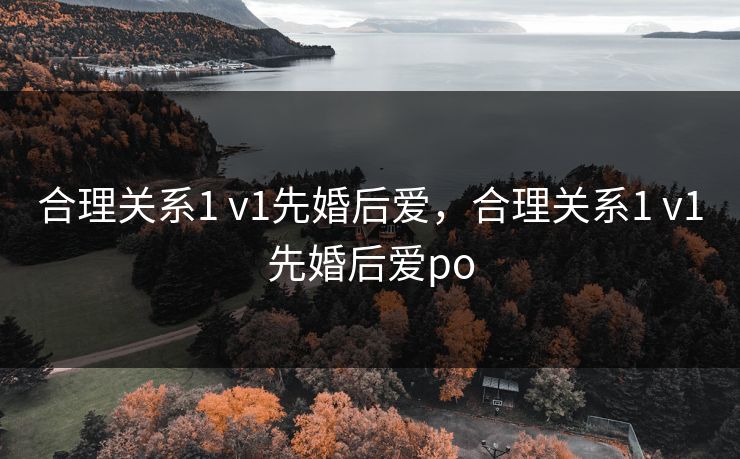 合理关系1 v1先婚后爱，合理关系1 v1先婚后爱po